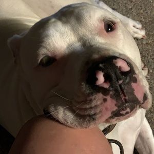 Meet your Posher, Linda